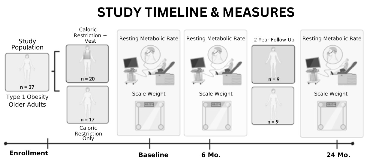 Figure 1: Schematic Representation of the Experimental Design.